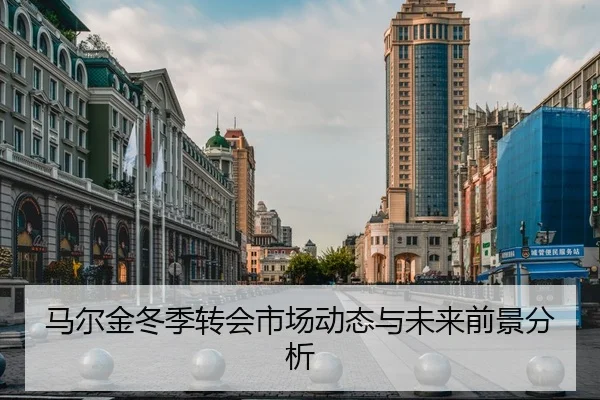 马尔金冬季转会市场动态与未来前景分析